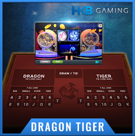 DingDong Dragon-Tiger